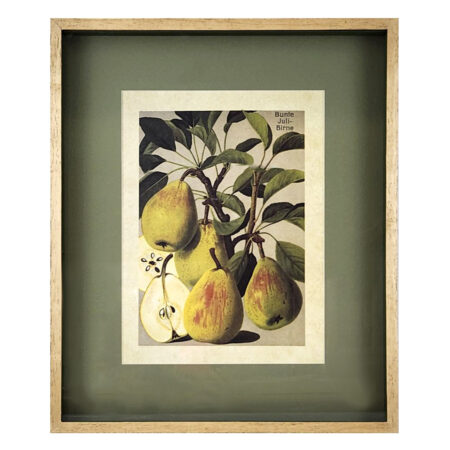 Quadro Decorativo Peras II